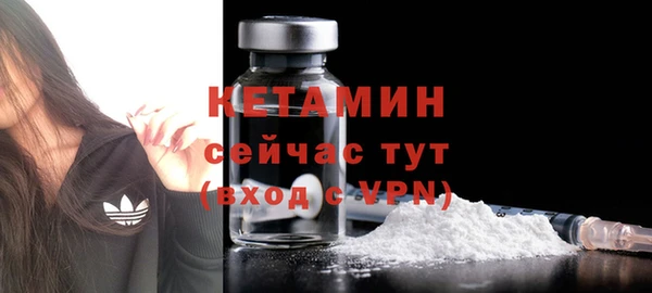 трава Новодвинск