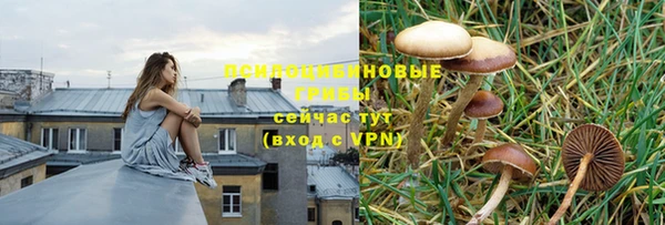 бутират Новозыбков