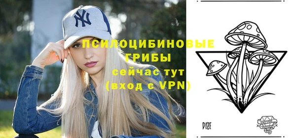 трава Новодвинск