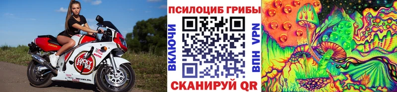 закладка  Короча  Галлюциногенные грибы Psilocybe 